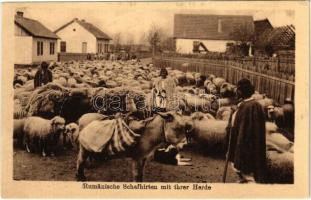 Rumänische Schafhirten mit ihrer Herde / Román juhászok a nyájjal / Romanian folklore, shepherds with flock of sheep (EK)