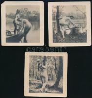 cca 1910 Aktok, 3 db fotó, sarkokon kis törésnyomok, sarokhiány, 9×8,5 cm