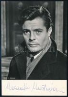 Marcello Mastroianni (1924-1996) olasz színész autográf dedikálással ellátott fotója 10x15 cm