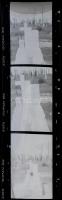 cca 1950-1960 Vegyes fotónegatív tétel csíkokban, negatívtartó tasakokban