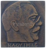 1989. Nagy Imre / 1958. június 16. 1989 egyoldalas, öntött bronz plakett (70x66mm) T:2