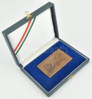 ~1960-1970. "Ügető" egyoldalas Br plakett. Jelzett: Kovács (49x76mm)