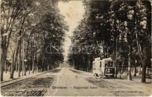 1918 Debrecen, Nagyerdei fasor, villamos (EK)