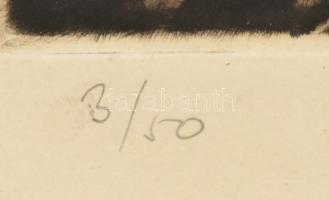 Erdélyi jelzéssel: Vízparti táj. Rézkarc, papír, 3/50, Üvegezett fakeretben. 18x23 cm