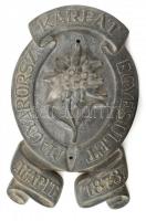 ~1920-1930. Magyarországi Kárpát Egyesület - Alapítva 1873. Fém, nagyméretű címer. 46x28cm