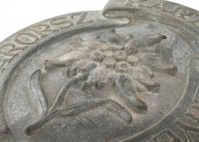 ~1920-1930. 'Magyarországi Kárpát Egyesület - Alapítva 1873. Fém, nagyméretű címer. 46x28cm