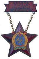 ~1950. Szakma kiváló dolgozója - Kereskedelmi Rákosi-címeres zománcozott fém kitüntetés, eredeti tokban T:2-