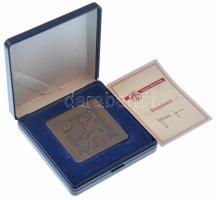 2004. "Magyar Pénzverő Rt. - Hungarian Mint Ltd." kétoldalas Br plakett dísztokban (40x40m...