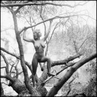 cca 1986 Honnan jöttünk, hová tartunk, Menesdorfer Lajos (1941-2005) budapesti fotóművész hagyatékáb...