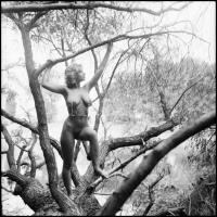 cca 1986 Honnan jöttünk, hová tartunk, Menesdorfer Lajos (1941-2005) budapesti fotóművész hagyatékáb...