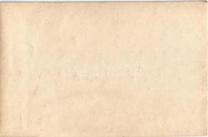 Osztrák-magyar katona / WWI Austro-Hungarian K.u.K. military, soldier. photo (non PC) (vágott / cut)