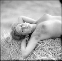 Egészséges, szolid erotika, Menesdorfer Lajos (1941-2005) budapesti fotóművész hagyatékából, 7 db vi...