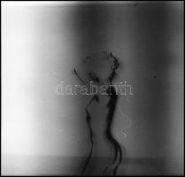 Egészséges, szolid erotika, Menesdorfer Lajos (1941-2005) budapesti fotóművész hagyatékából, 7 db vi...