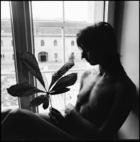 cca 1986 Menesdorfer Lajos (1941-2005) budapesti fotóművész hagyatékából, 3 db vintage NEGATÍV az ak...