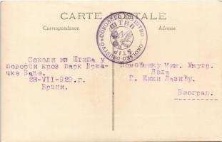 1929 Vrnjacka Banja, Sokol procession through the park. photo