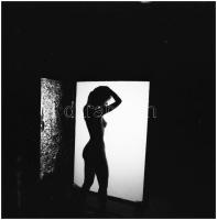 A nők megismerésére tett újabb kísérletek, változó helyszíneken, eltérő időpontokban és több fotómodell közreműködésével készült akt felvételek, Menesdorfer Lajos (1941-2005) budapesti fotóművész hagyatékából, 5 db vintage NEGATÍV, 6x6 cm