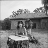 Eltérő időpontokban, változó helyszíneken és több fotómodell közreműködésével készült akt felvételek...