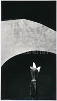 1971 Panyik István pécsi fotóművész feliratozott, vintage fotóművészeti alkotása (szobor), a magyar fotográfia avantgarde korszakából, 23,8x13,5 cm