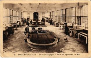 1936 Roscoff, Station biologique, Salle des aquariums / Biological station, aquarium room, interior (EK)