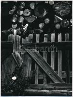 1969 Végh Elek kőbányai fotóművész hagyatékából, feliratozott, vintage fotóművészeti alkotás, 24x18 cm