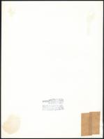 cca 1971 Müller Ferenc budapesti fotóművész pecsétjével jelzett, vintage fotóművészeti alkotás (forg...