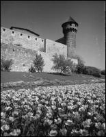 1974-1975 Budapesti városképek, 13 db szabadon felhasználható, professzionális minőségű, vintage NEG...