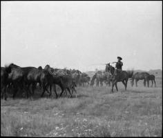 1979 Hortobágy, 4 db szabadon felhasználható, professzionális minőségű, vintage NEGATÍV, 6x7 cm