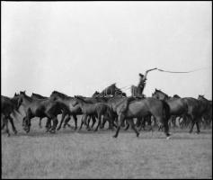 1979 Hortobágy, 4 db szabadon felhasználható, professzionális minőségű, vintage NEGATÍV, 6x7 cm