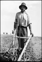 cca 1945 és 1948 között készült felvételek országszerte, a mezőgazdasági termelés beindulásáról, föl...