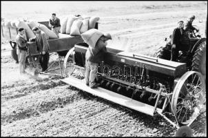cca 1945 és 1948 között készült felvételek országszerte, a mezőgazdasági termelés beindulásáról, föl...