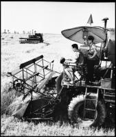 cca 1945 és 1948 között készült felvételek országszerte, a mezőgazdasági termelés beindulásáról, föl...