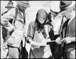 cca 1945 és 1948 között készült felvételek országszerte, a mezőgazdasági termelés beindulásáról, föl...