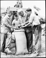 cca 1945 és 1948 között készült felvételek országszerte, a mezőgazdasági termelés beindulásáról, föl...