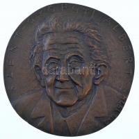Osváth Mária (1921-) 1974. Szent-Györgyi Albert egyoldalas, öntött bronz plakett, szignó a köriratban (~99mm) T:2