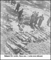 1944 Szálasi Ferenc (1897-1946) nyilas nemzetvezető hatalomra kerülése, 4 db NEGATÍV (három felirato...