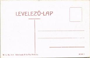 Szakolca, Skalica; Városház, D. Natzler üzlete. W.L. Bp. 5612. Schefranek H. és fia kiadása / town h...