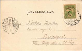 1904 Fehértemplom, Ung. Weisskirchen, Bela Crkva; Vásár utca. Hepke kiadása / street view (EK)