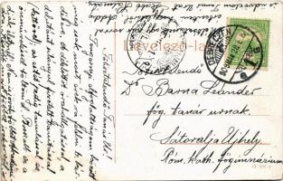 1909 Debrecen, Polgári leányiskola (Svetits intézet). W.L. 203. (b)