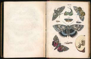 Ifj. Emich Gusztáv: A kis lepkegyűjtő. A lepkészet rövid kézikönyve, különös tekintettel a Magyarors...