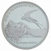 1998. 2000Ft Ag "WWF - Óvd a természetet" dísztokban, tanúsítvánnyal T:PP Adamo EM154