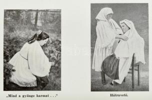 Kiss Géza: Ormányság. Bp., 1937, Sylvester Rt. Szövegközti és egészoldalas fekete-fehér illusztráció...