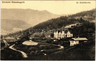 1911 Rózsahegy, Ruzomberok; Gróf Seefried villa. Komor testvérek kiadása / villa