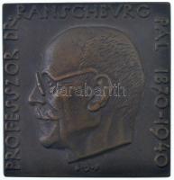 Beck Ötvös Fülöp (1873-1945) 1940. Professzor Dr. Ranschburg Pál 1870-1940 / Mesterünknek tanítványai kétoldalas, öntött bronz plakett (56x54mm) T:1-
