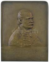 Balikó Sándor (1869-1928) Semmelweis 1818-1865 egyoldalas, öntött bronz plakett (132x103mm) T:1-,2
