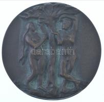 Csúcs Ferenc (1905-1999) 1943. "Semmelweis Ignác 1818-65" kétoldalas, öntött Br emlékérem,...