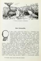 Dr. Kogutowicz Károly: Dunántúl és Kisalföld. Írásban és képben. I kötet. Szeged, 1930-1936, M. Kir....