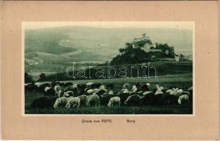 Kőhalom, Reps, Rupea; vár, legelő juhnyáj. Hans Köhler / castle, flock of sheep