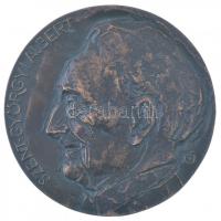Nagy István János (1938-) DN Szent-Györgyi Albert egyoldalas, öntött bronz plakett (104mm) T:1-