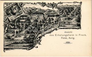 Felek, Freck, Avrig; Erholungsheim / nyaralóhely / holiday resort. Art Nouveau, floral