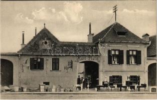 Szentágota, Agnetheln, Agnita; Karl Platz bútorgyáros üzlete. F. Theil 1913. / furniture shop